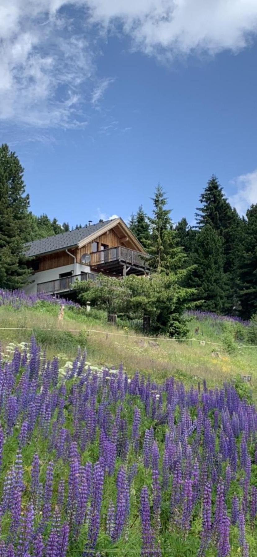 Chalet Claassen Туррахер-Хёэ Экстерьер фото